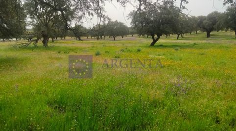 Foto 2 de Casa o chalet en venta en Malpartida de Plasencia, Cáceres