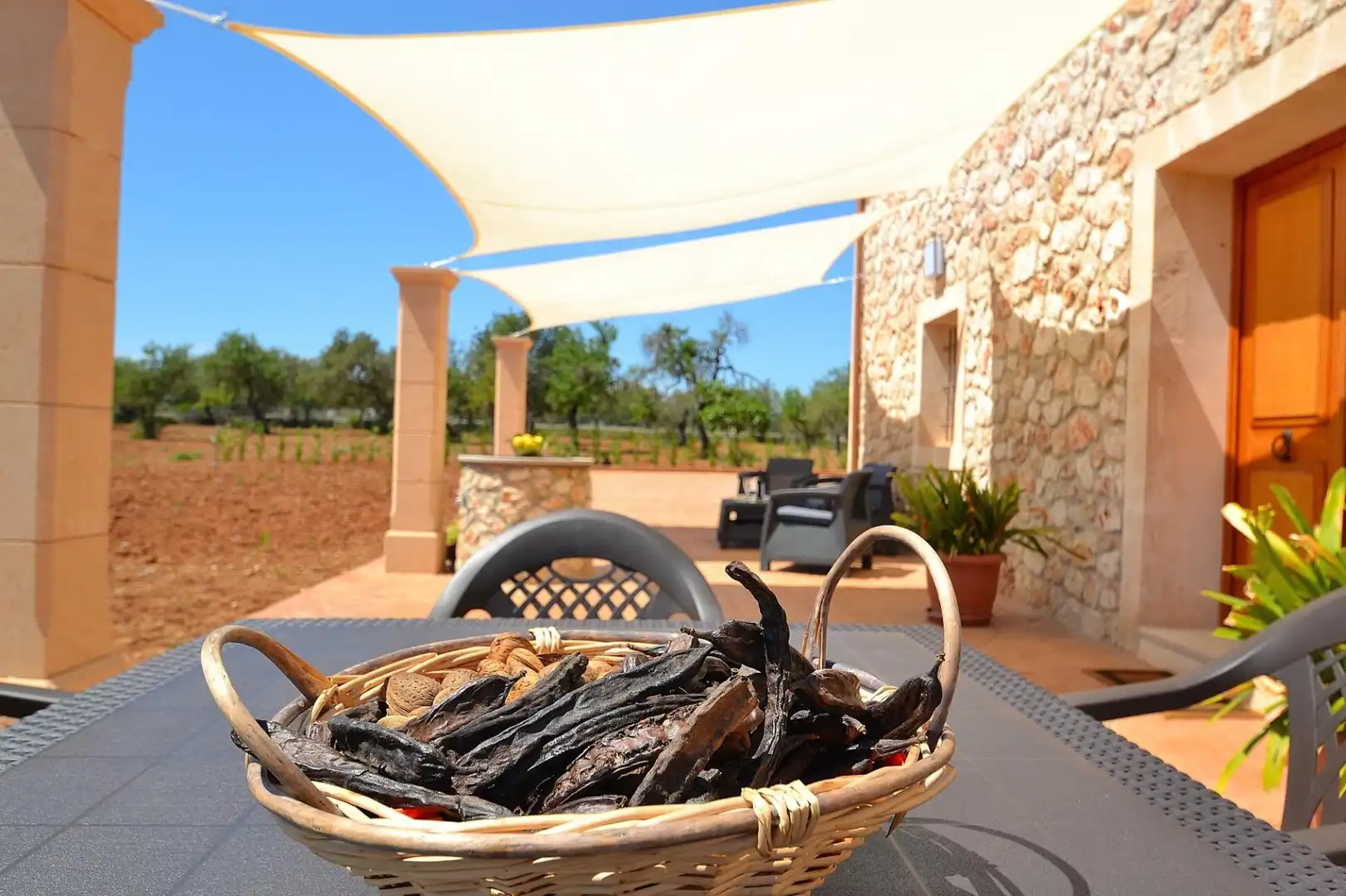 Garden of Country homes for rent in Llubí  with Private garden, Terrace and Swimming Pool