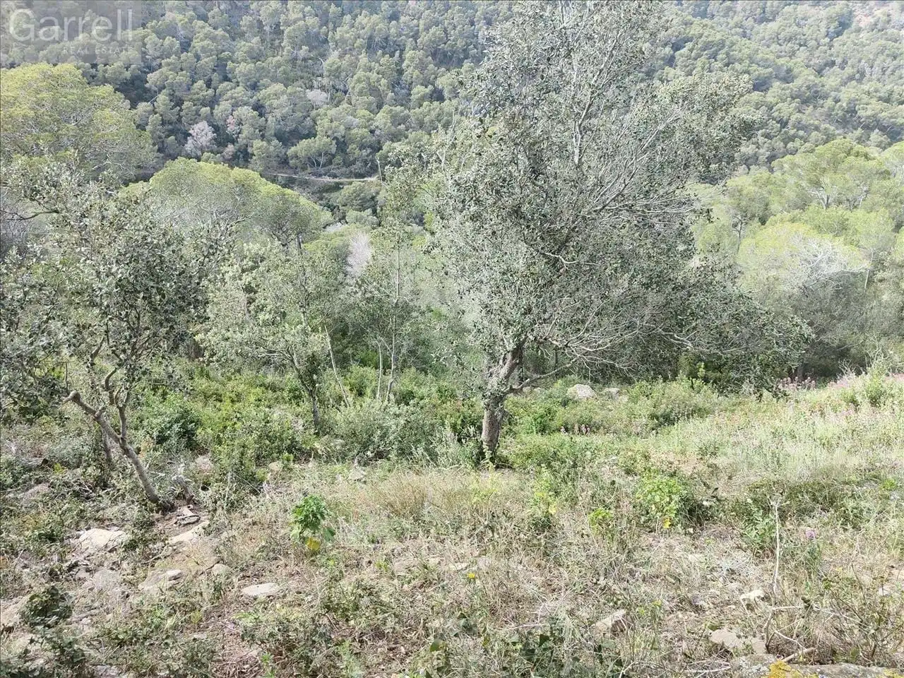 Grundstücke und Bauplätze zum Verkauf in CR SA TUNA 
 BEGUR (GIRONA), imagen 8