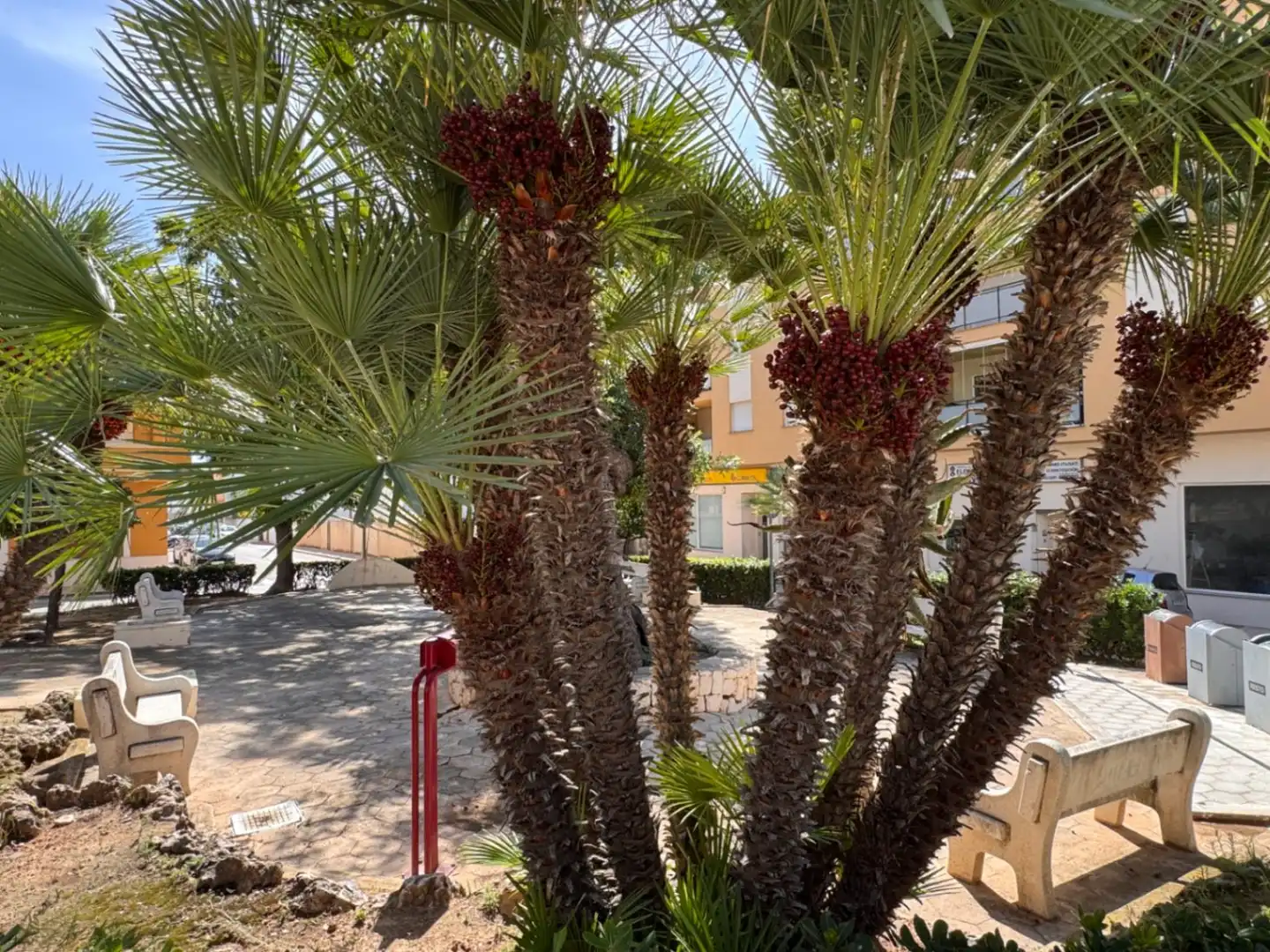 Apartment mit Aufzug zum Verkauf in Teulada, imagen 2