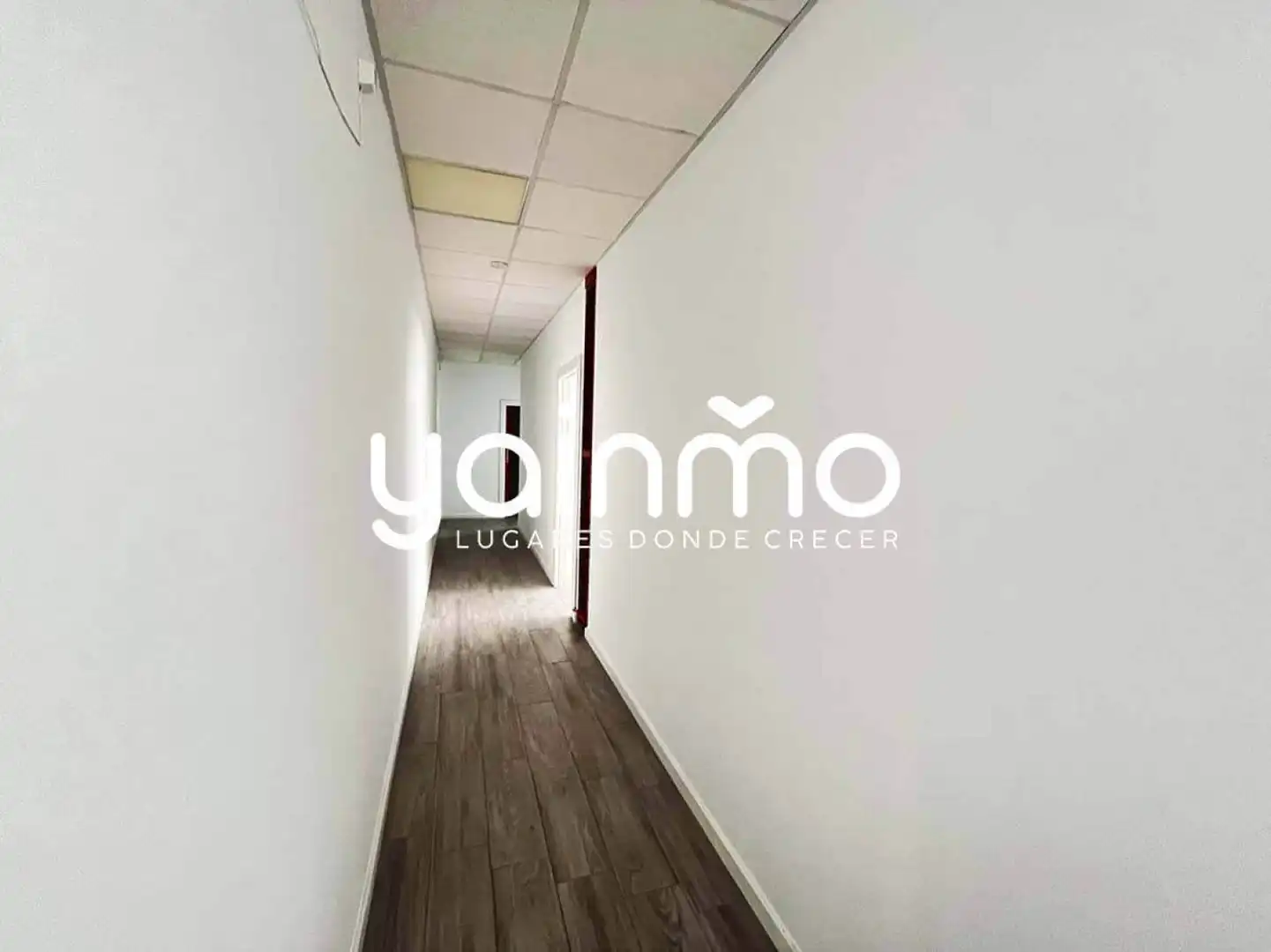 Business premises to rent in Jaén - CL FELIPE OYA RODRIGUEZ 4, imagen 11