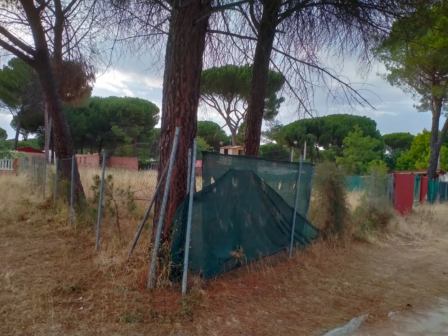 Terreny rústic en venda a Pago de los Carrizales, imagen 4