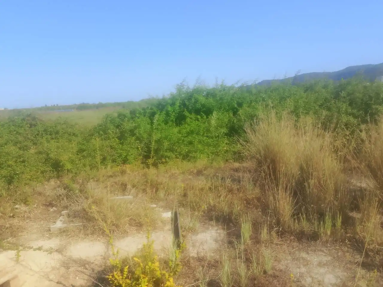 Terreny rústic en venda a Camino Segon de Lera de Forn 45, imagen 27