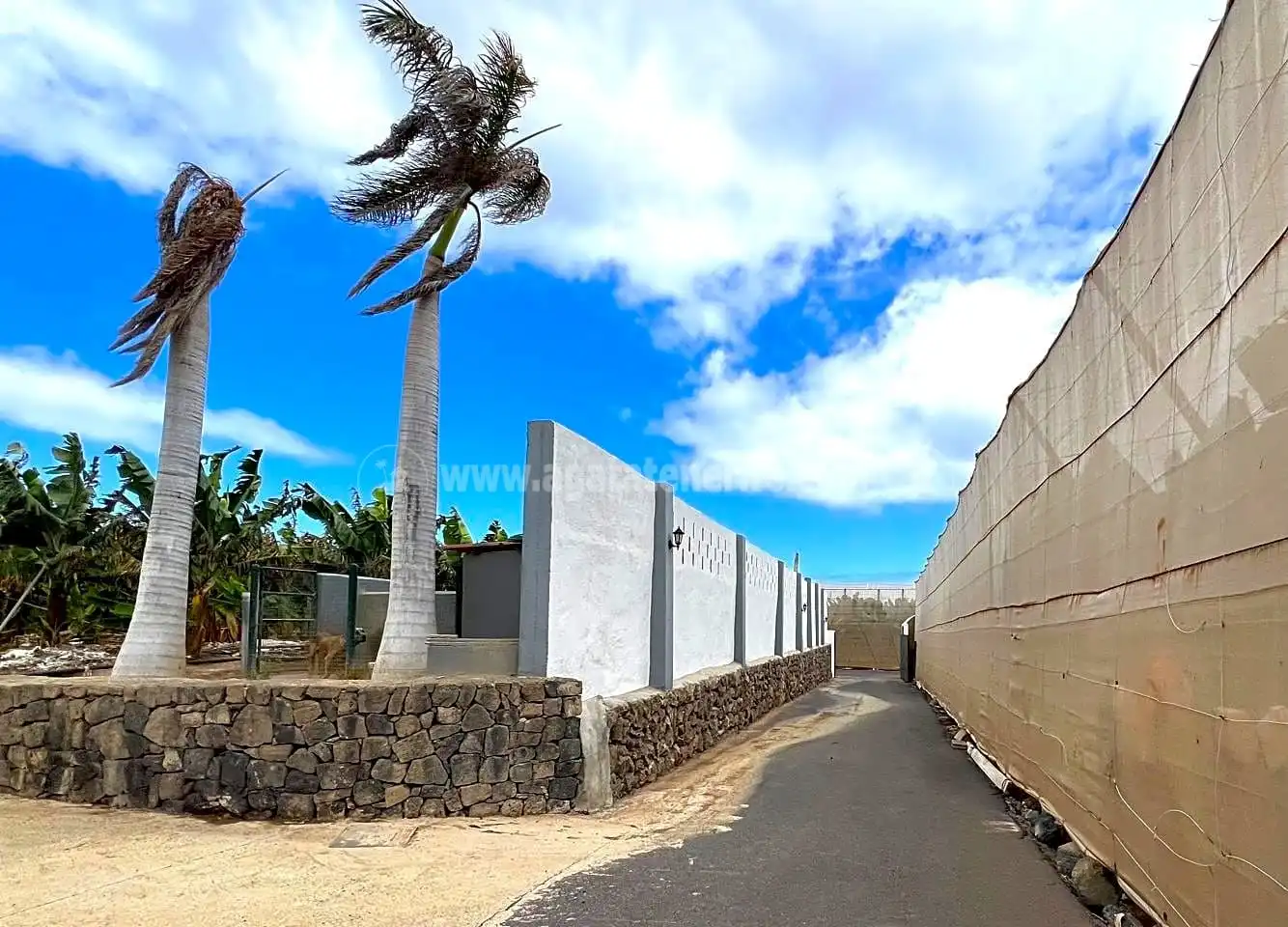 Vista exterior de Finca rústica en venta en Los Silos con Jardín privado y Terraza