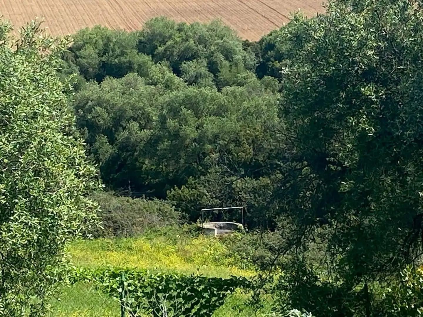 Terreno en venta en Arcos de la Frontera