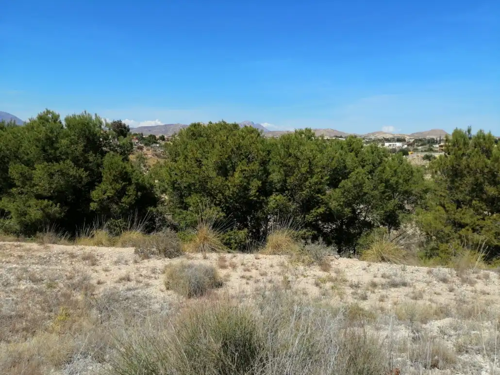 Residential land for sale in Calle Cobre-Garroferal, imagen 4