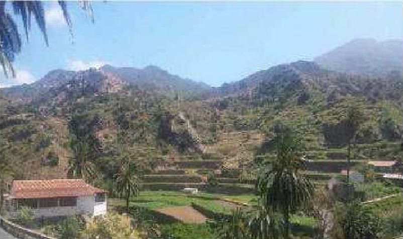 Land for sale in Vallehermoso