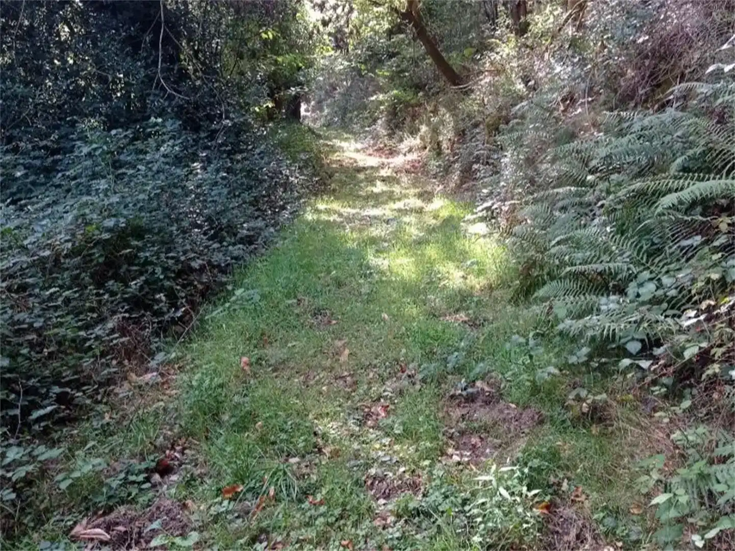 Piso en venta en A Fonsagrada , Lugo
