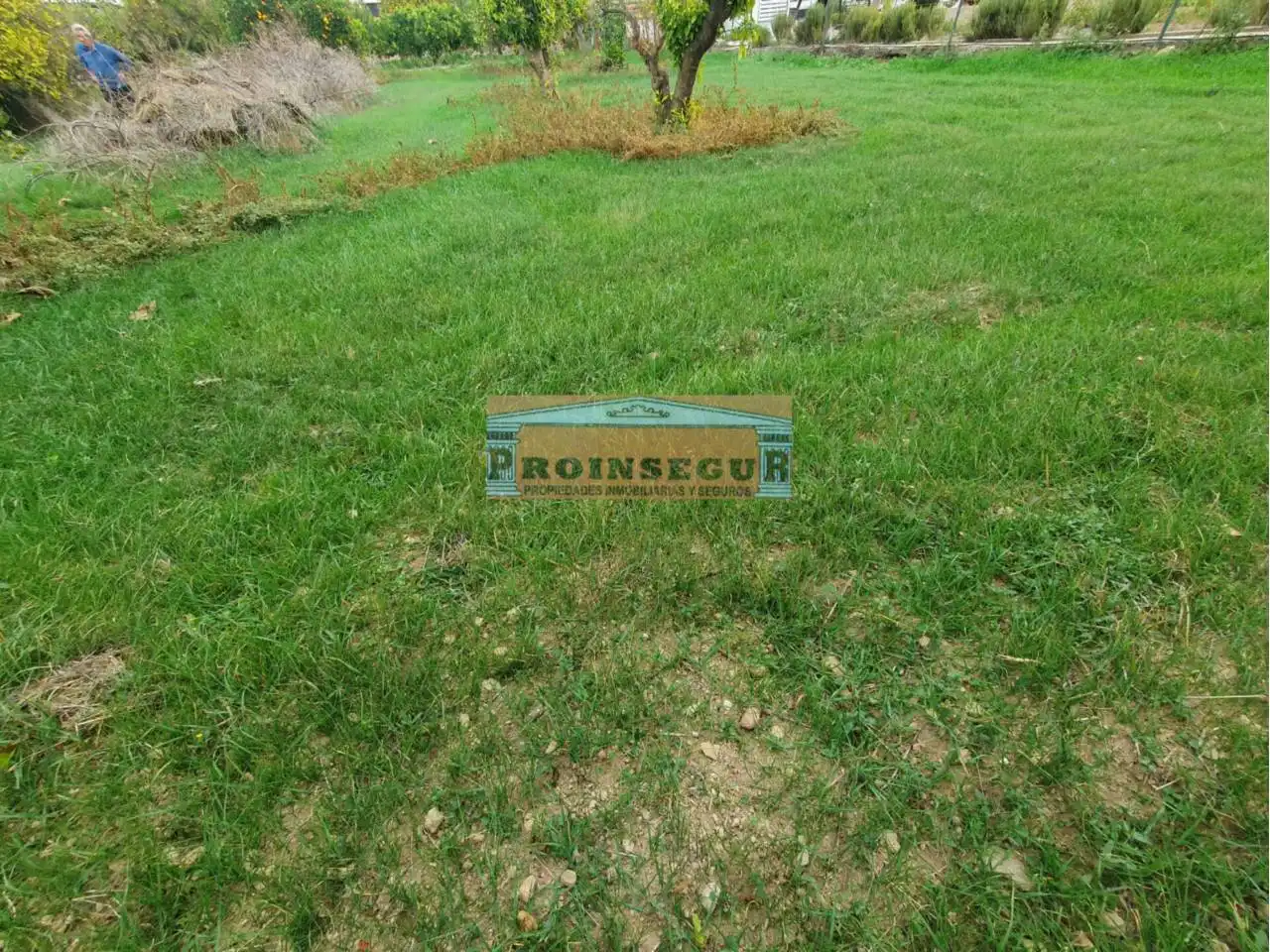 Terreno rustico in vendita a Centro, imagen 4