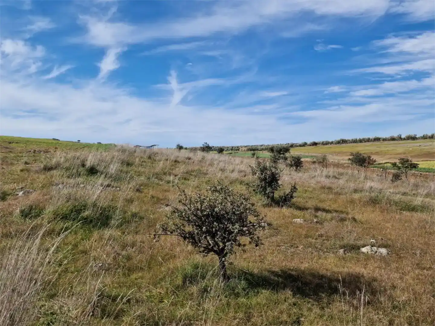 Land for sale in La Coronada, Badajoz