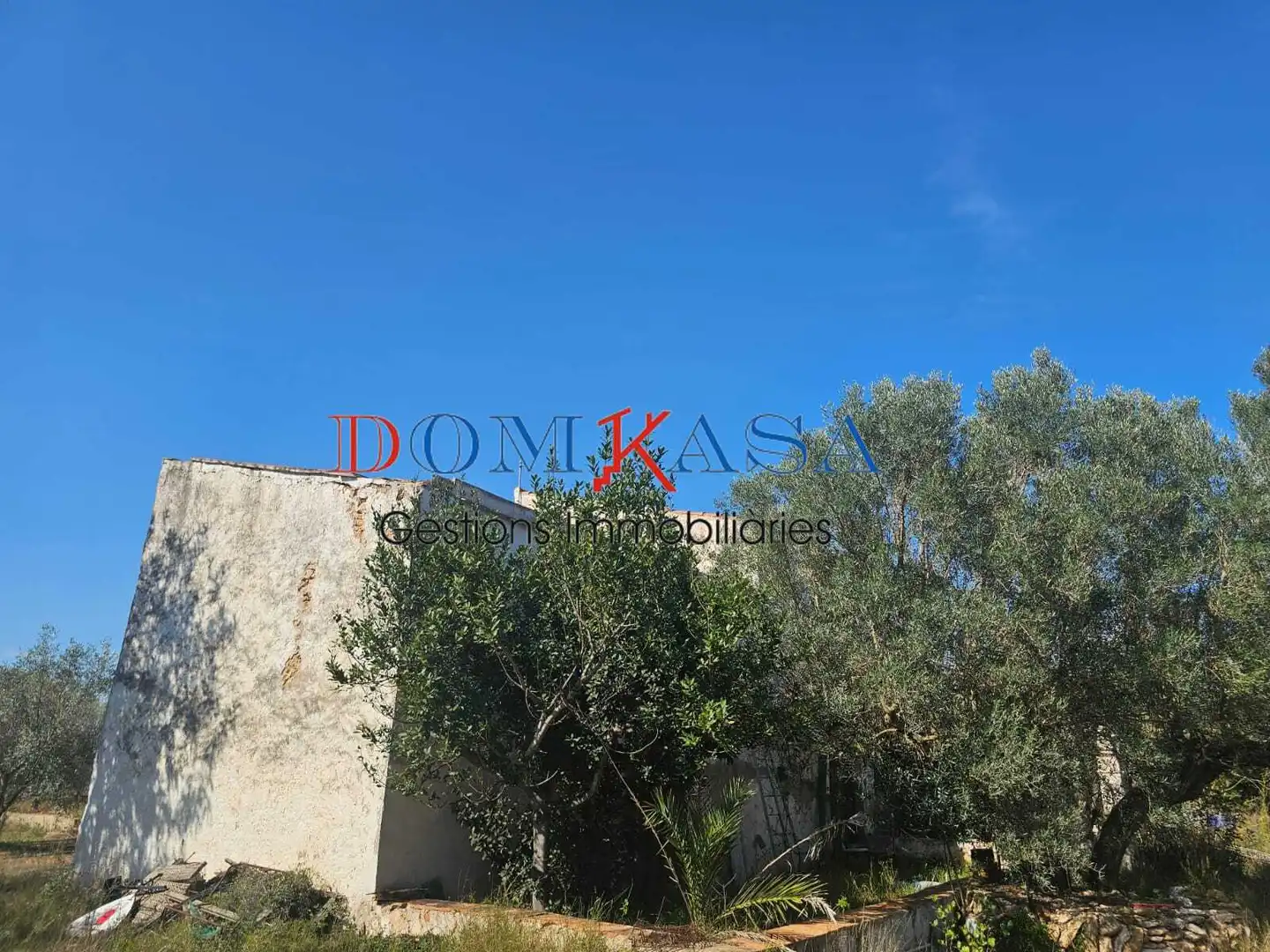 Rural land for sale in Roquetes, imagen 10