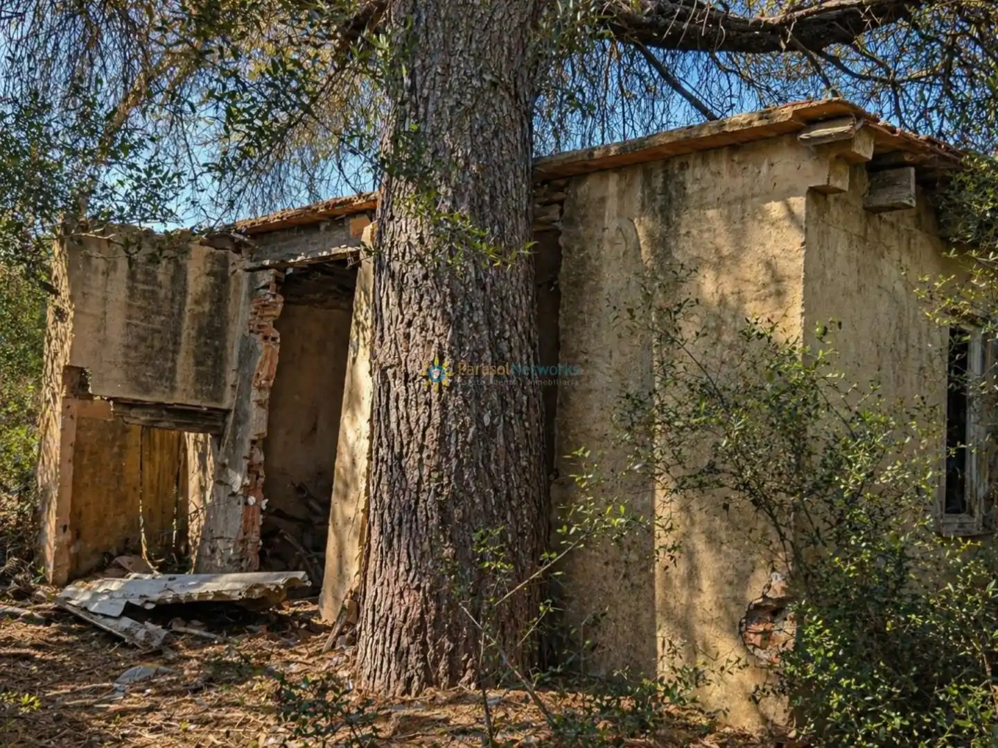Vista exterior de Terreno en venta en Bellús