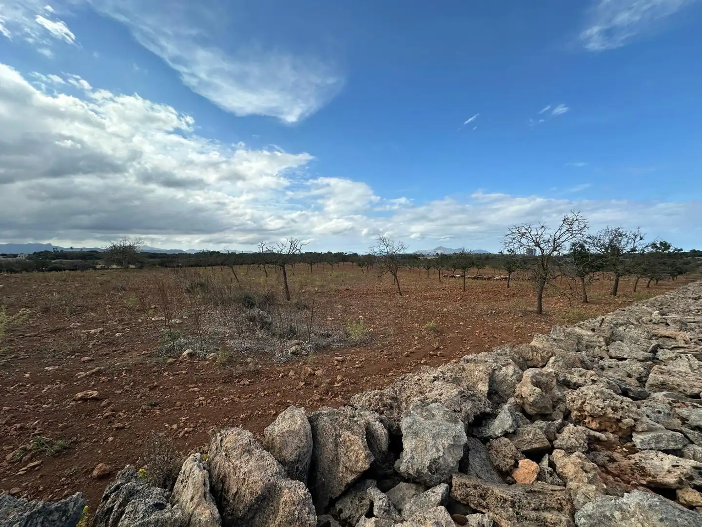 Terrain rustique à vendre à Muro, imagen 8