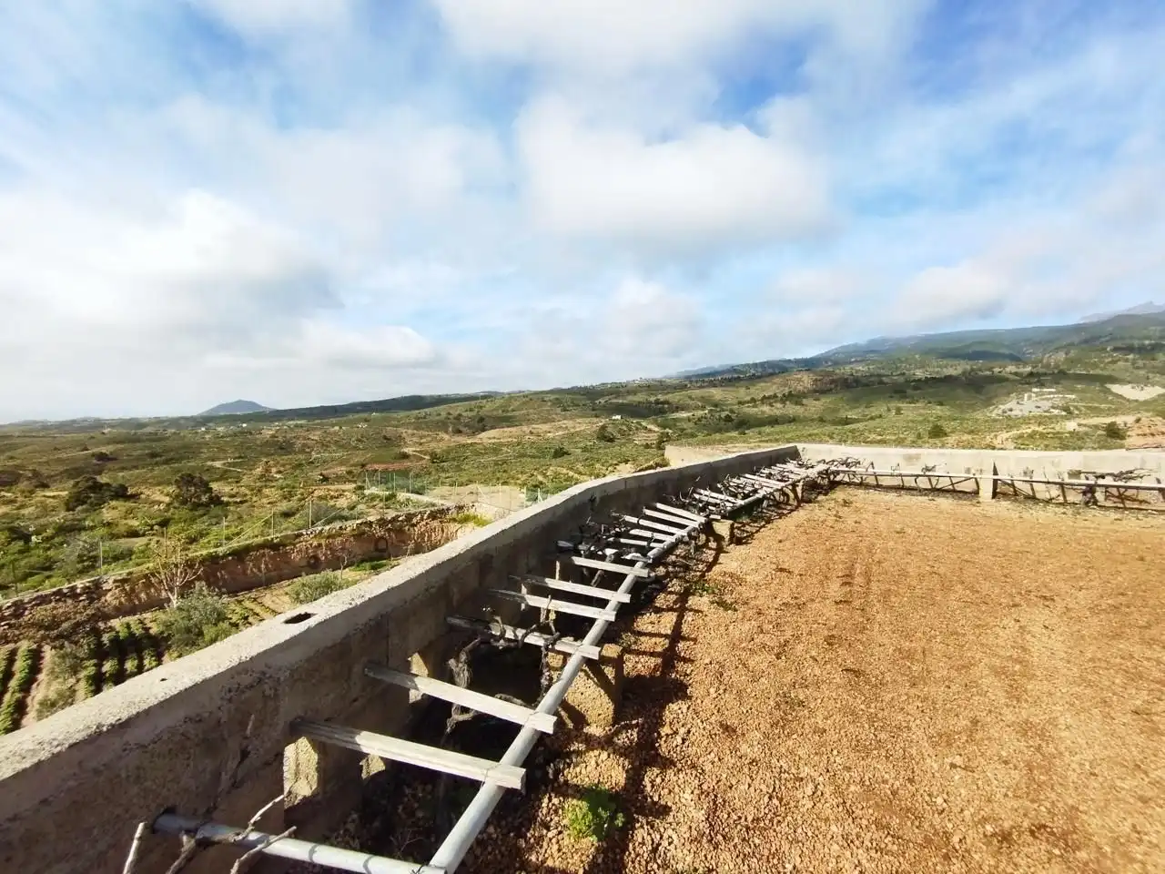 Terreno rustico in vendita a Arico, imagen 19