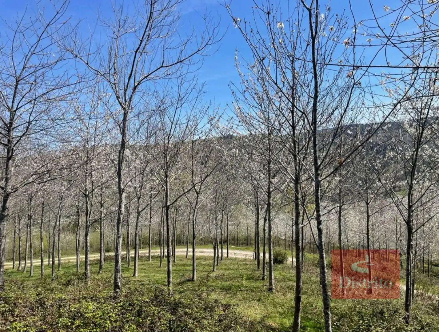 Terreni e lotti in vendita a Valdáliga - barrio la herrería, imagen 14