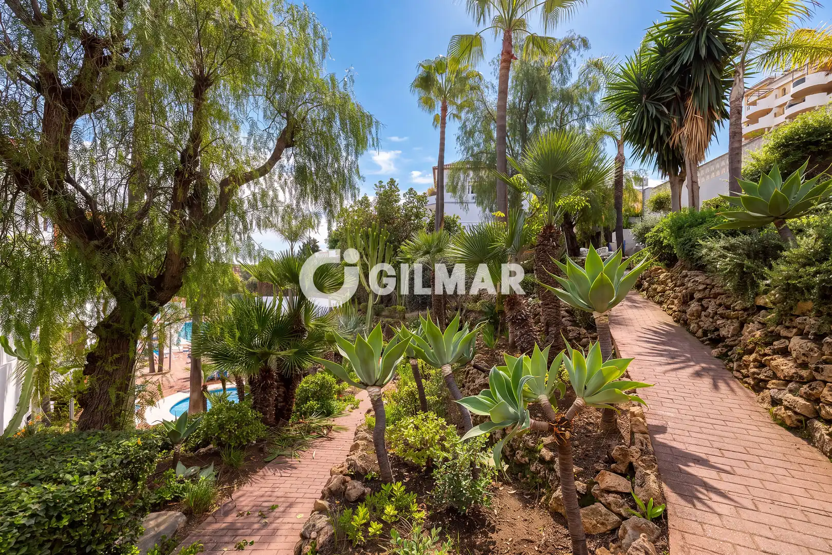 Jardí de Apartament en venda en Nueva Andalucía