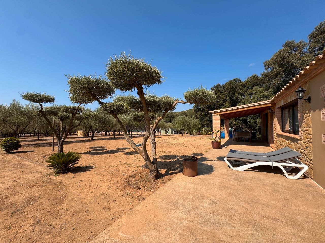 Jardí de Casa o xalet en venda en Mont-ras amb Aire condicionat, Jardí privat i Piscina
