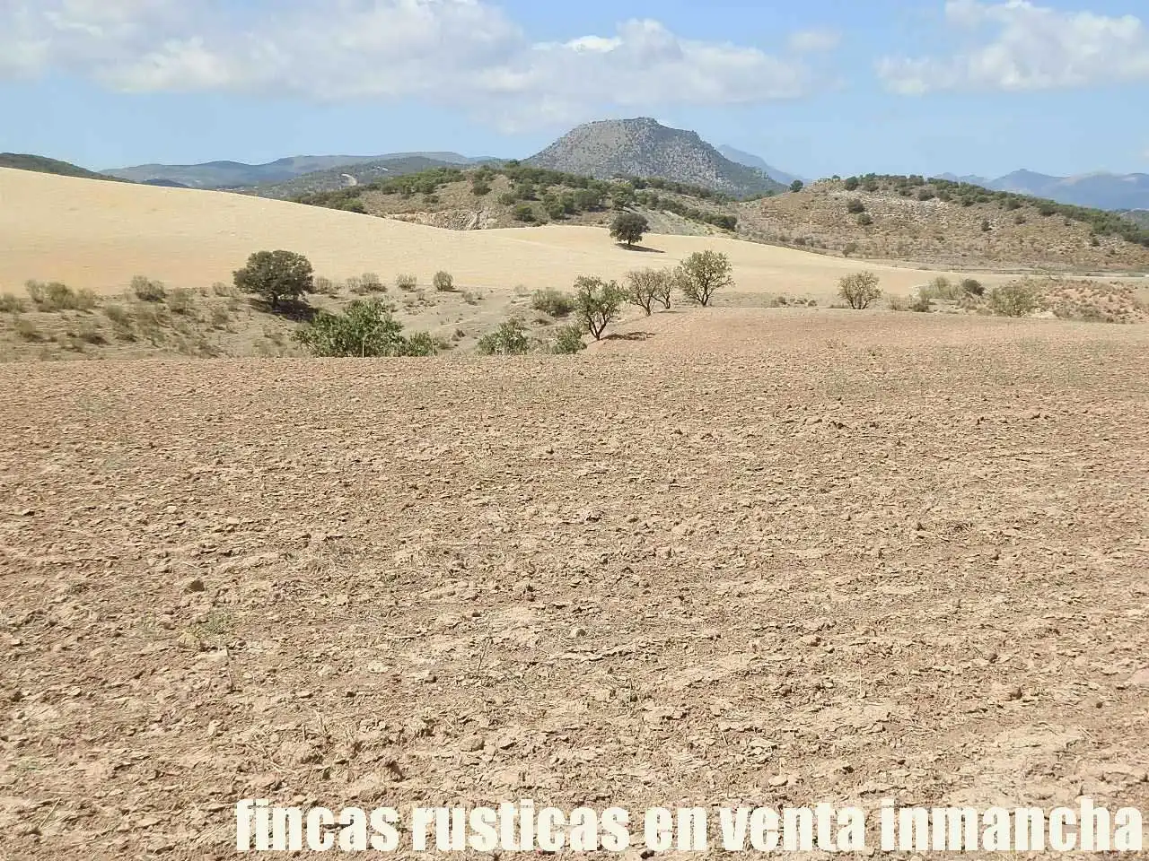 Terreni e lotti in vendita a Cabra del Santo Cristo, imagen 10