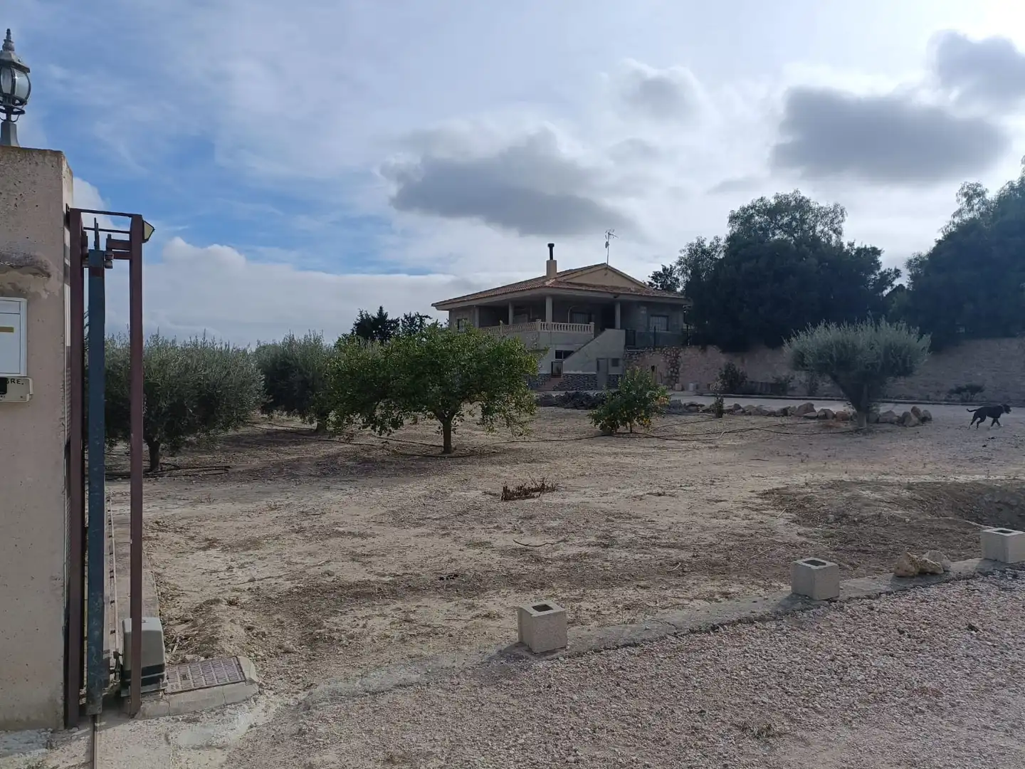 Rural land for sale in Fortuna, imagen 23