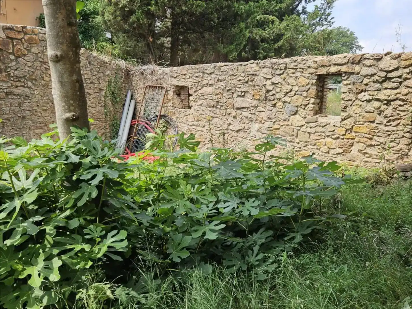 Vista exterior de Pis en venda en Palafrugell amb Jardí privat i Moblat
