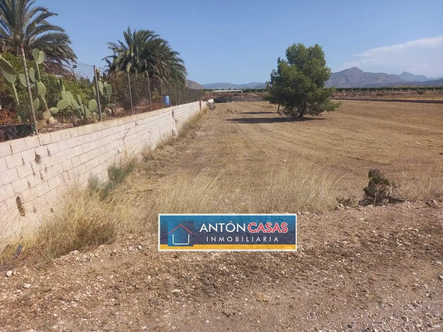 Rural land for sale in Novelda, imagen 6