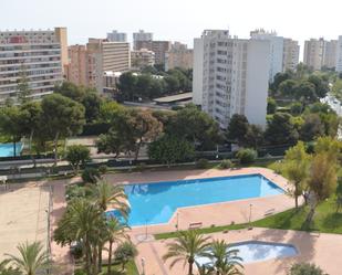 Swimming pool of Flat to rent in Alicante / Alacant  with Air Conditioner and Terrace