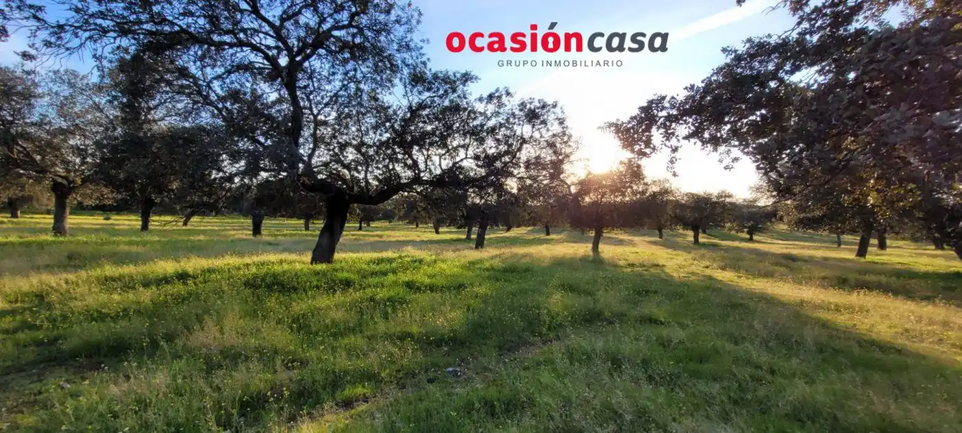 Casa rústica en venda a Pozoblanco, imagen 15