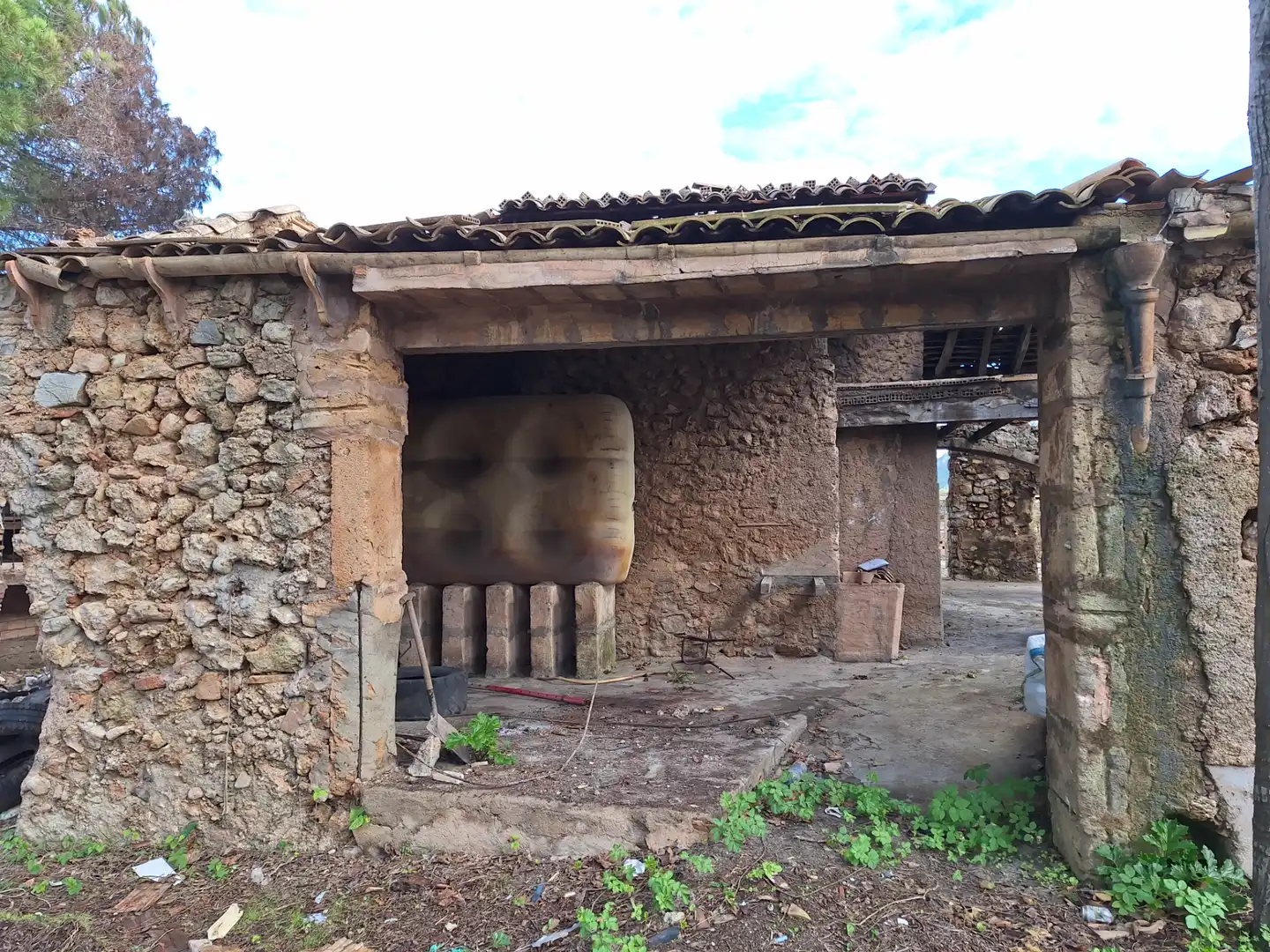 Terreny rústic en venda a Artà Poble, imagen 12