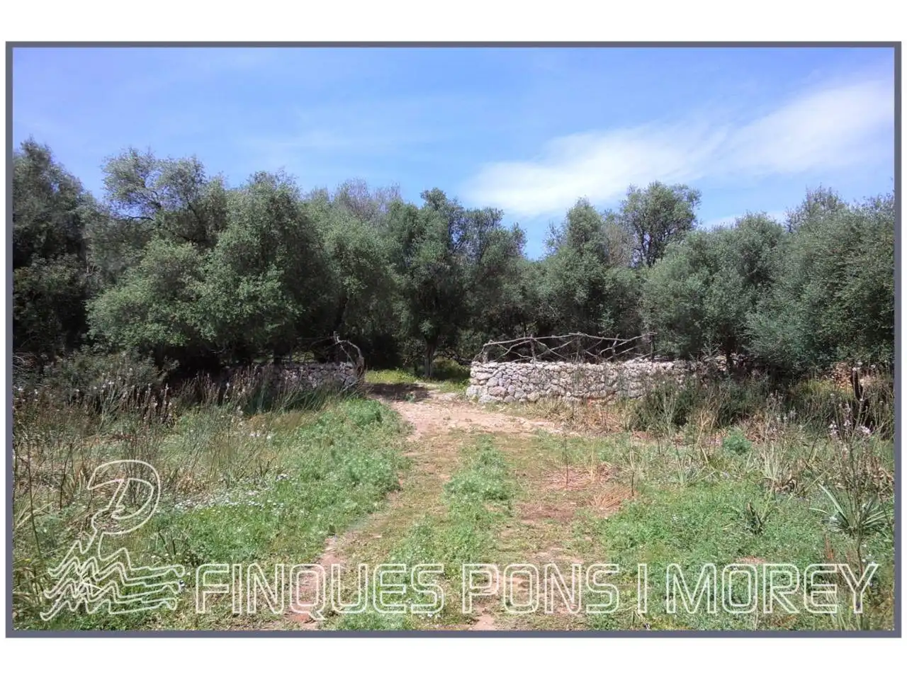 Rustikales Grundstück zum Verkauf in Camino Sta Magdalena sn, imagen 3