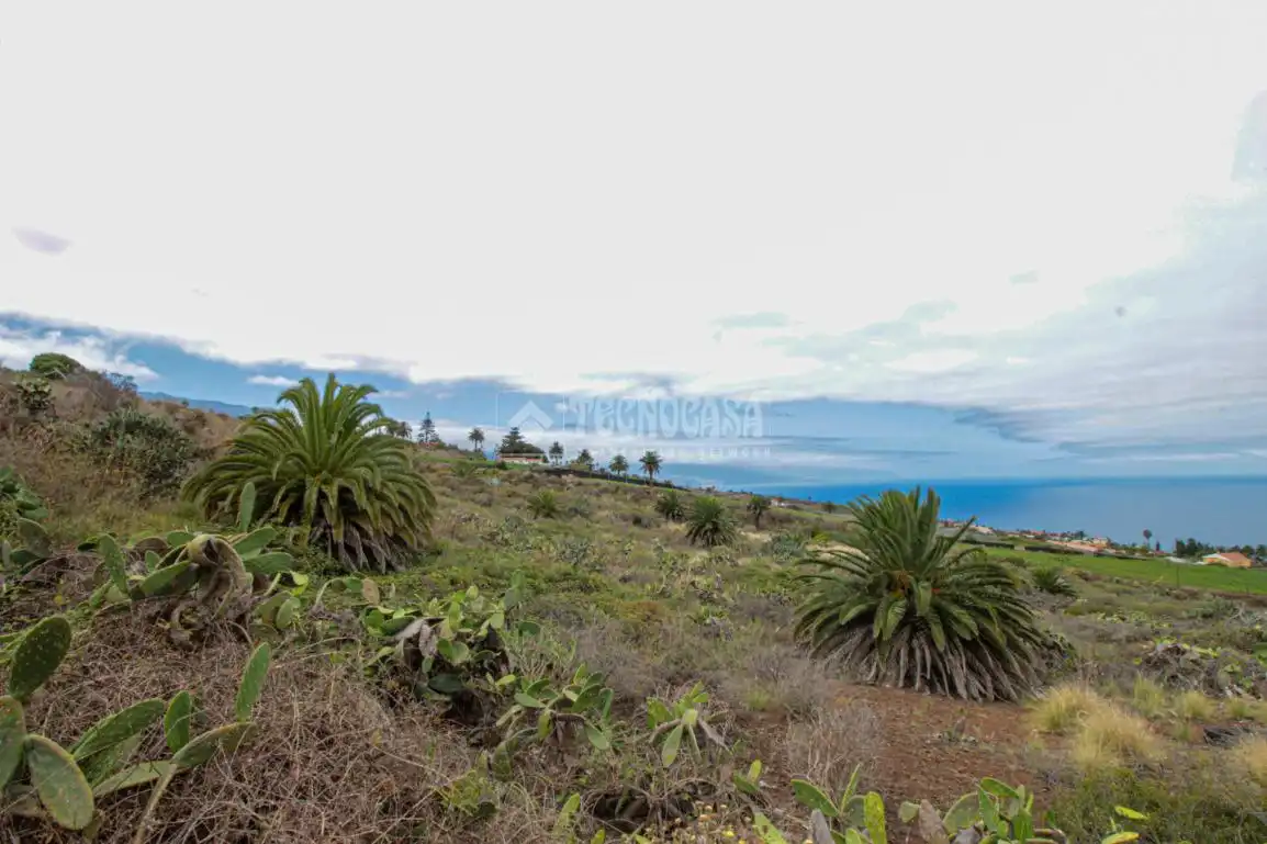 Terreno en venta en El Pris - Juan Fernández