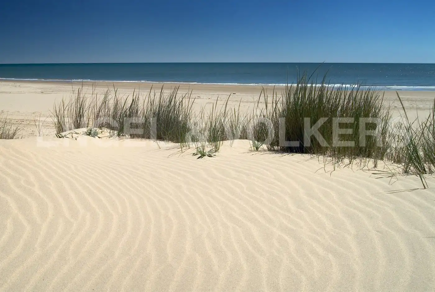 Vista exterior de Casa o chalet en venta en Cartaya con Calefacción, Jardín privado y Terraza