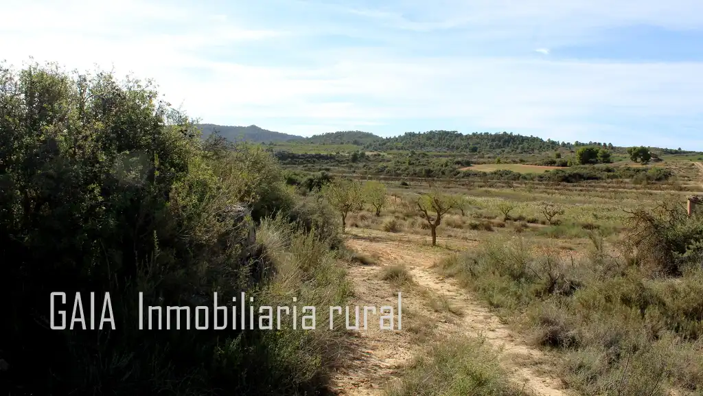 Casa rústica en venda a Maella, imagen 15