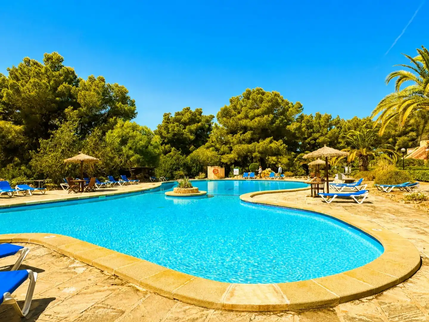Piscina de Casa o chalet en venta en Campos