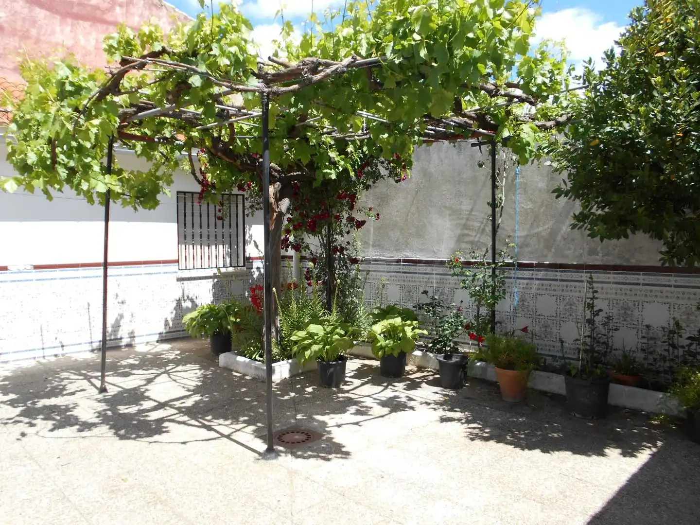 Jardín de Casa o chalet en venta en Picón con Aire acondicionado, Calefacción y Horno