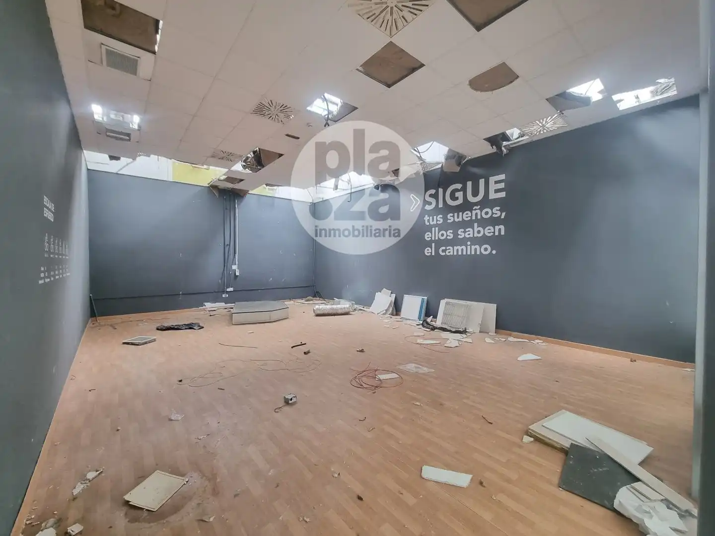 Gewerbefläche zur Miete in constitución, imagen 20