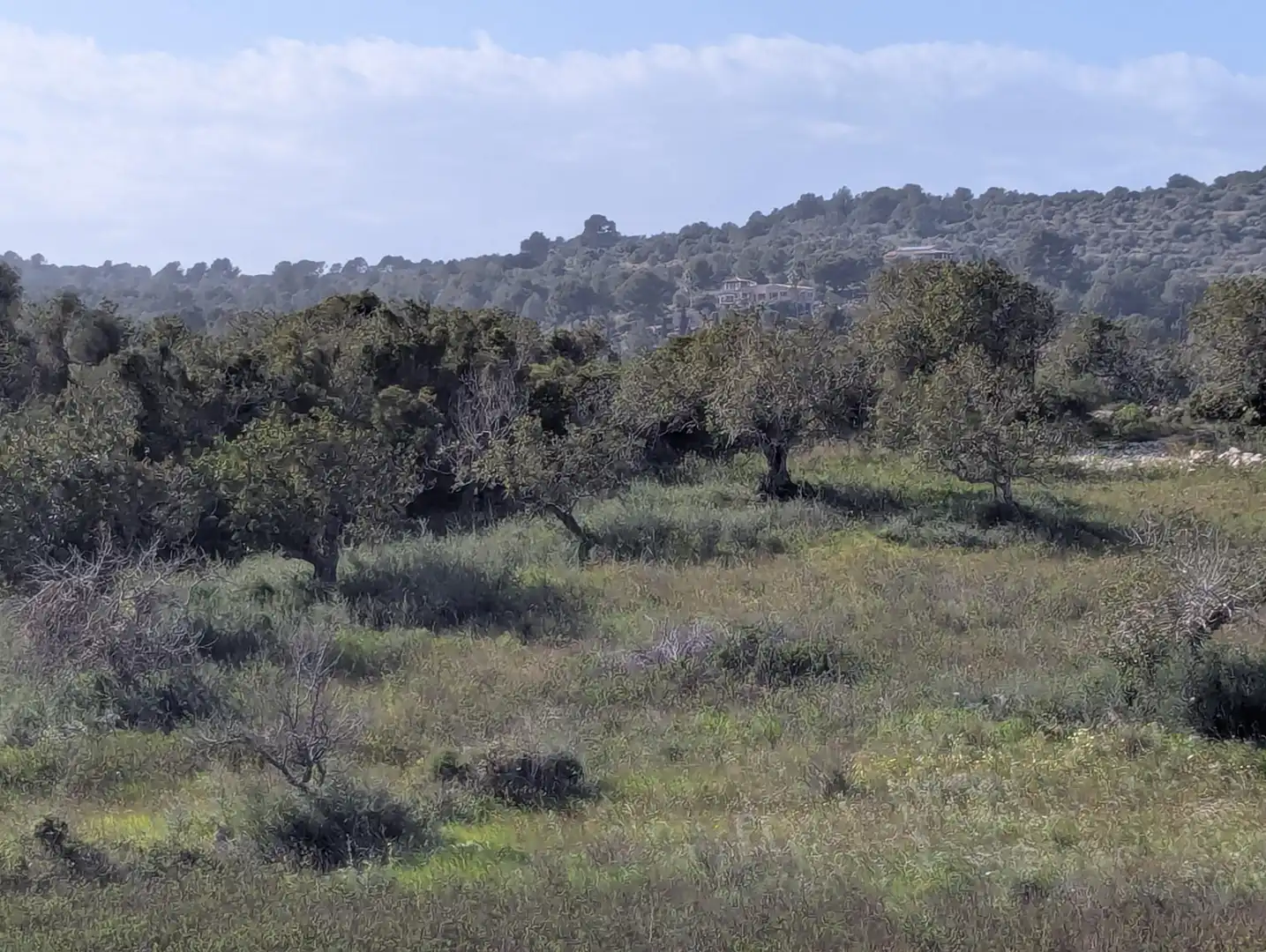 Residencial en venda en Son Servera