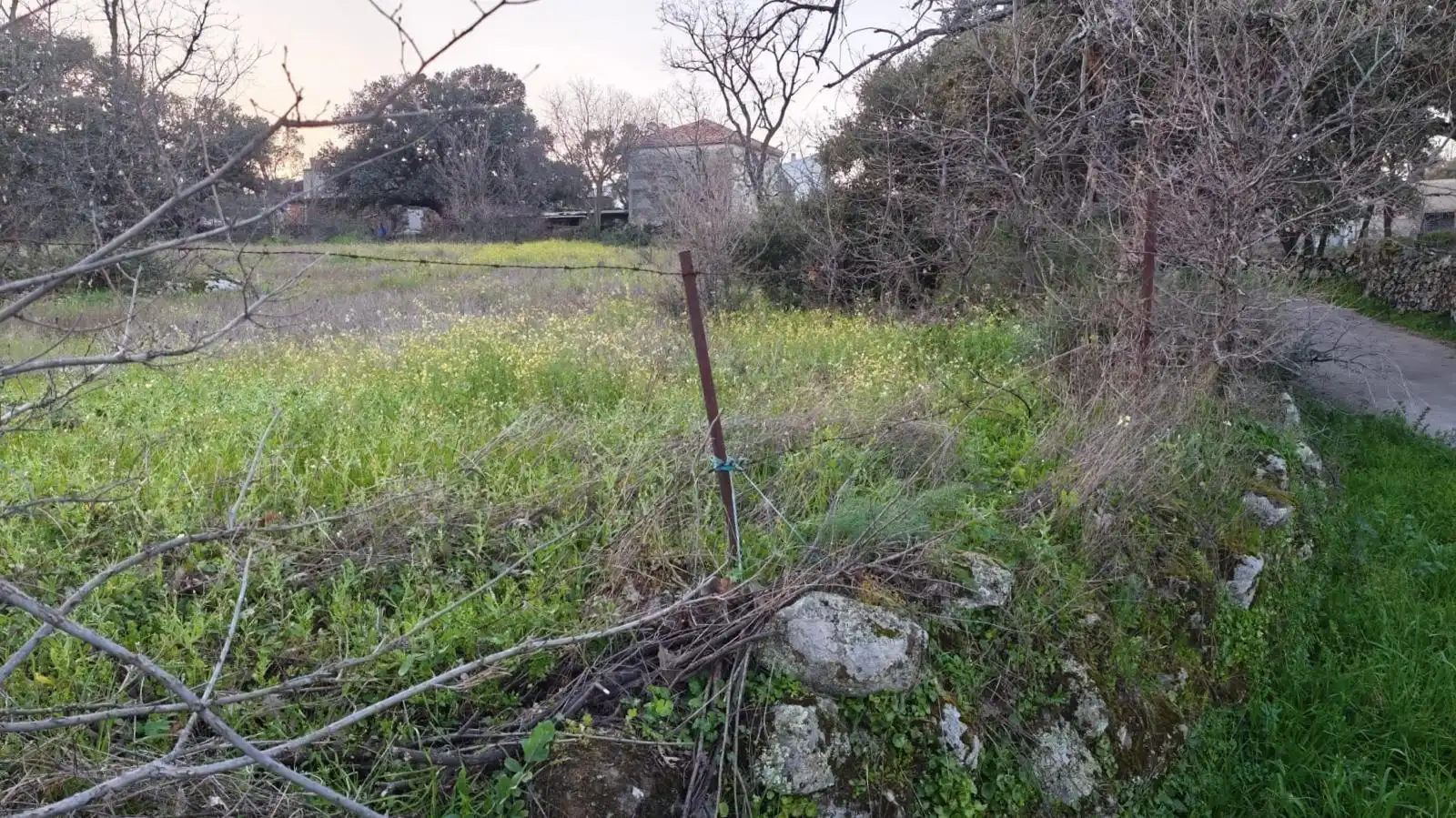 Terreno en venta en Aceituna