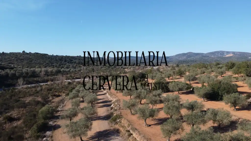 Vista exterior de Finca rústica en venda en Cervera del Maestre amb Terrassa