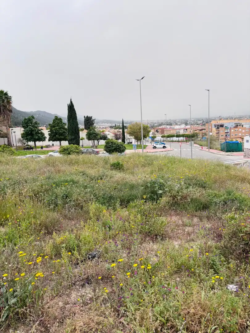 Terreny residencial en venda a Pedanías Este, imagen 3