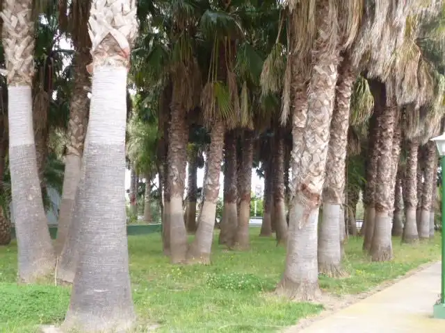 Vista exterior de Casa o xalet en venda en Tortosa amb Aire condicionat, Calefacció i Jardí privat