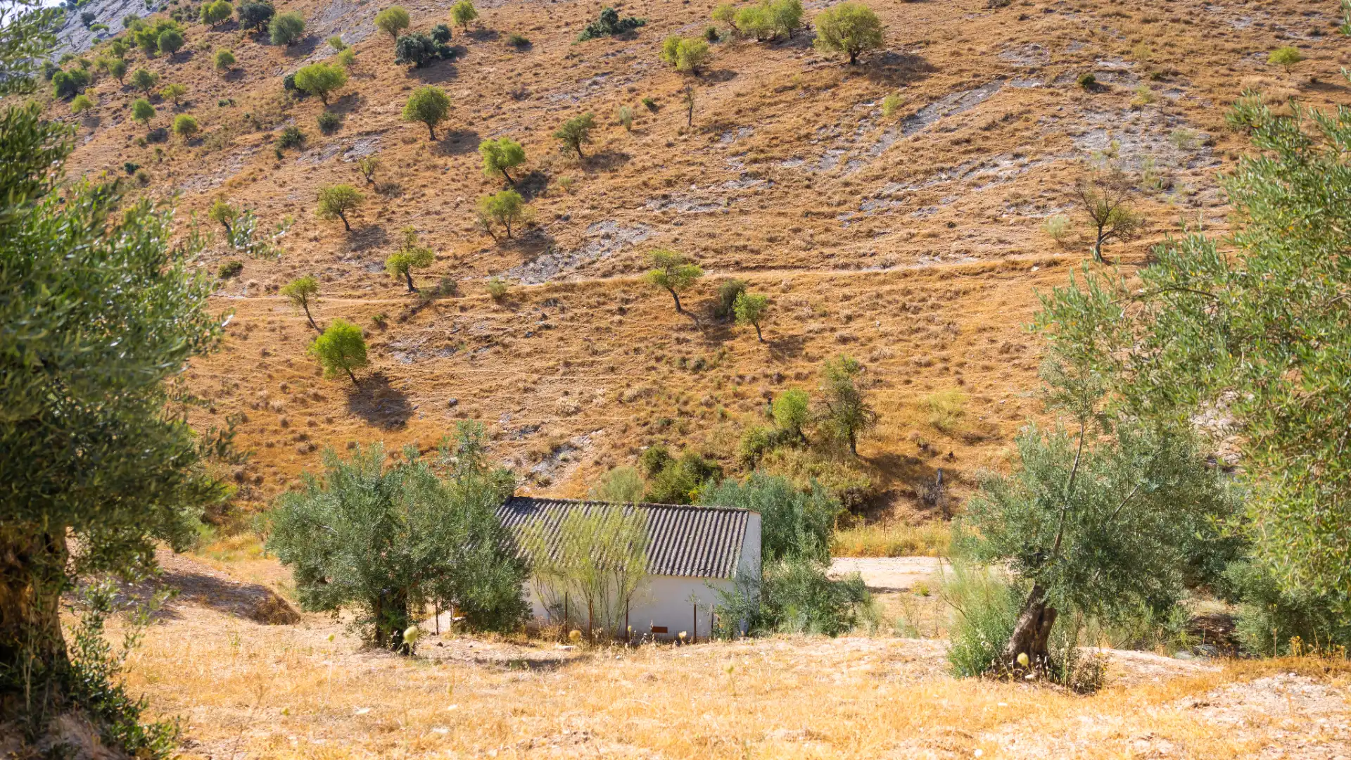 Finca rústica en venta en Montejaque con Aire acondicionado, Jardín privado y Terraza