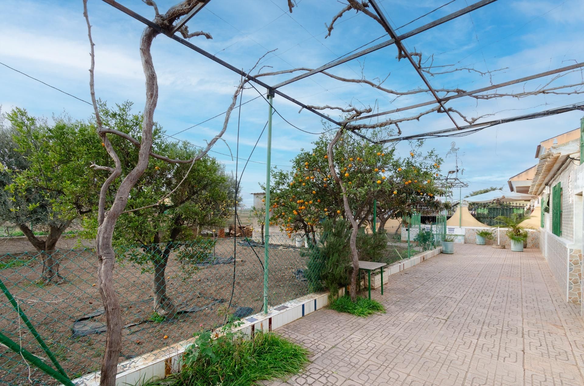Jardí de Casa o xalet en venda en Cartagena amb Piscina