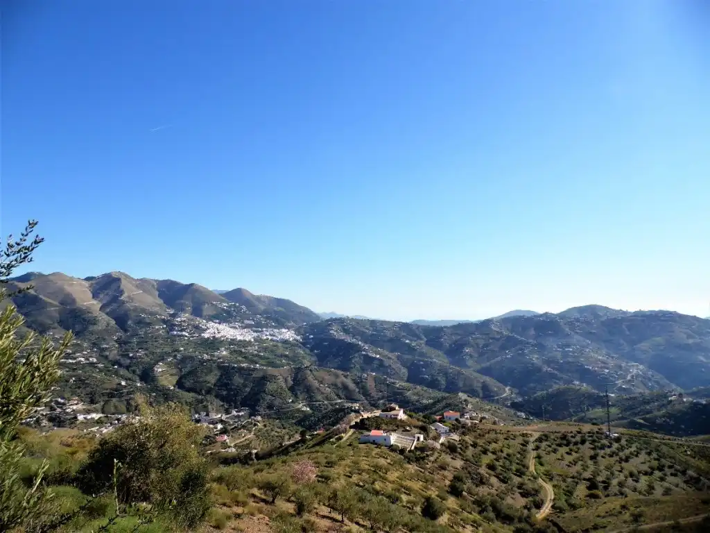 Vista exterior de Finca rústica en venda en Canillas de Albaida