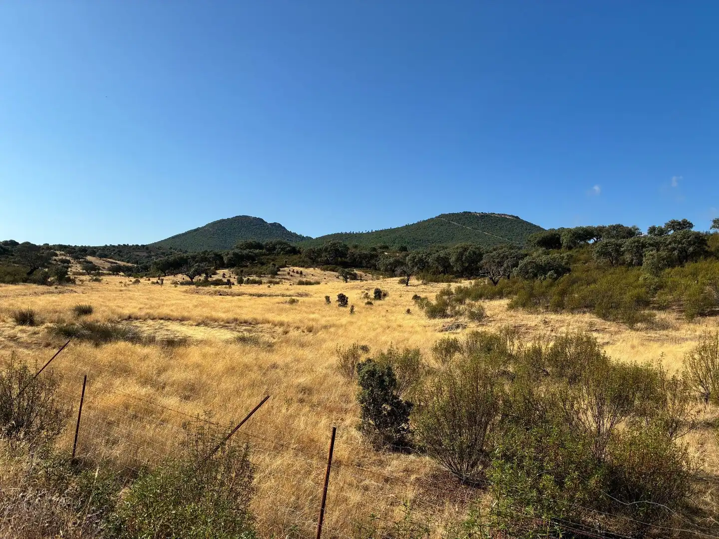 Rural land for sale in Puerto de San Vicente, imagen 16