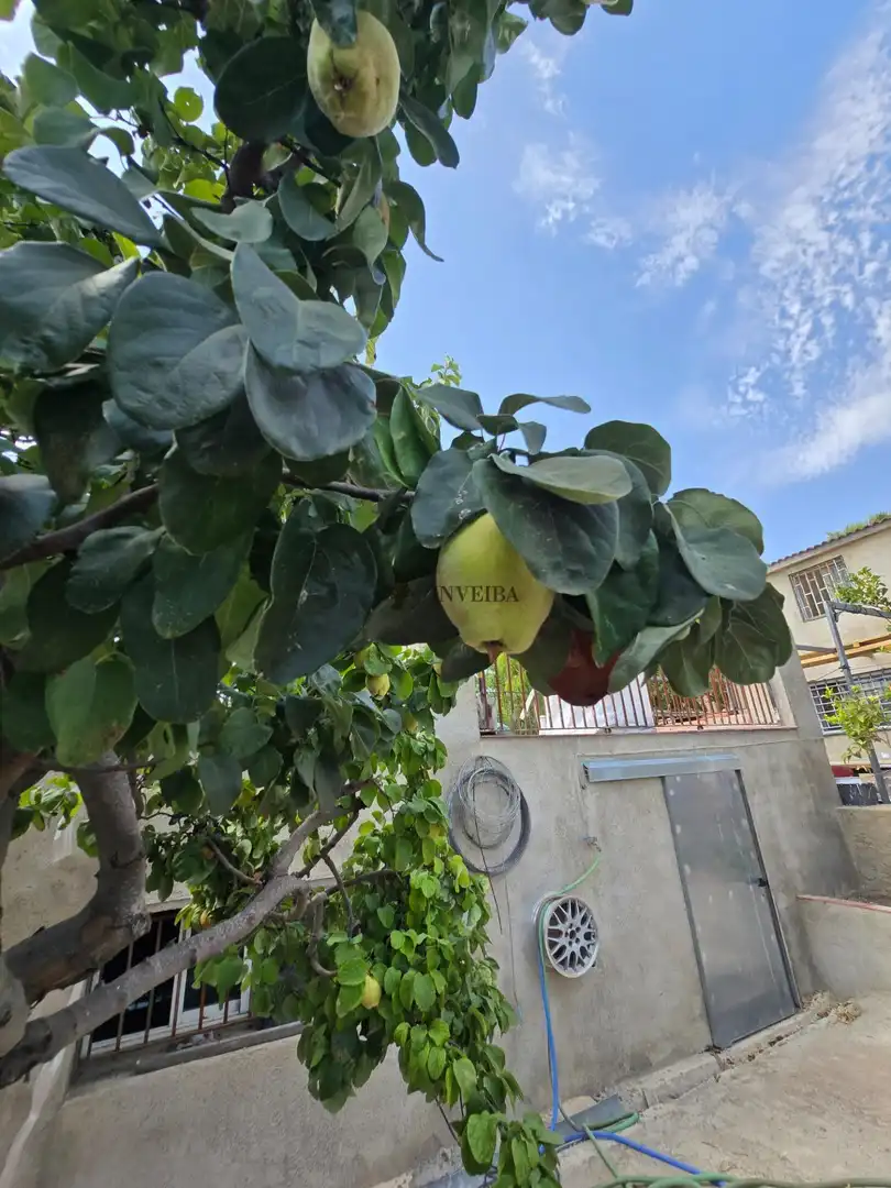 Maison avec terrasse à vendre à Castellví de la Marca, imagen 6