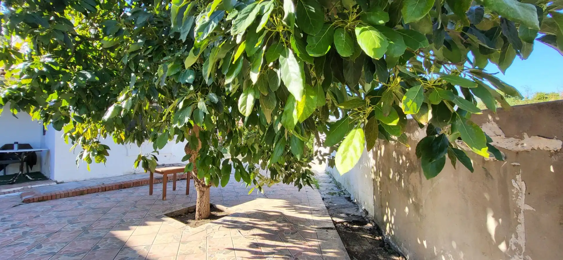 Chalet con jardín en venta en Benamara - Atalaya, imagen 17