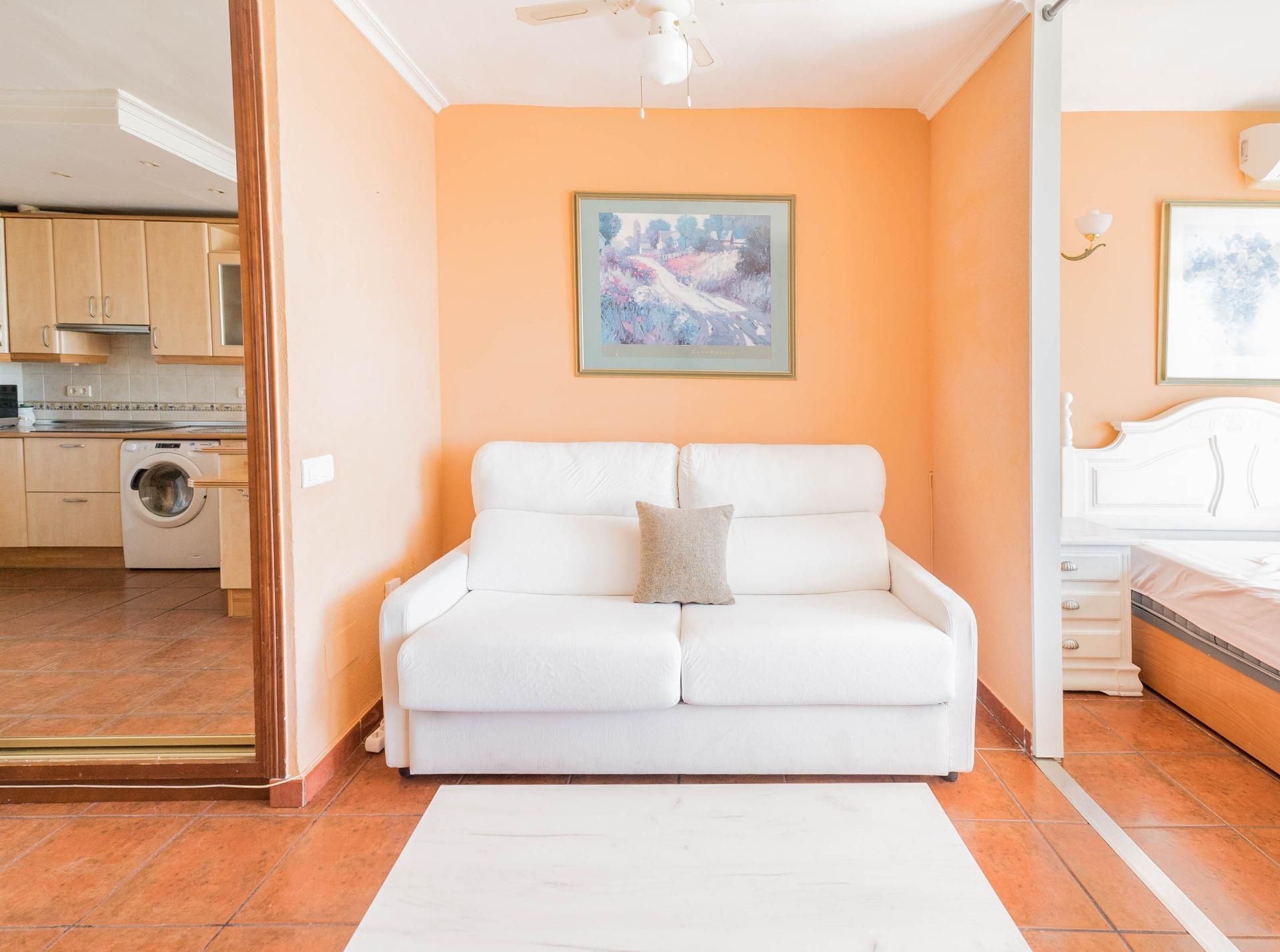Living room of Study for sale in Torremolinos  with Air Conditioner, Private garden and Balcony