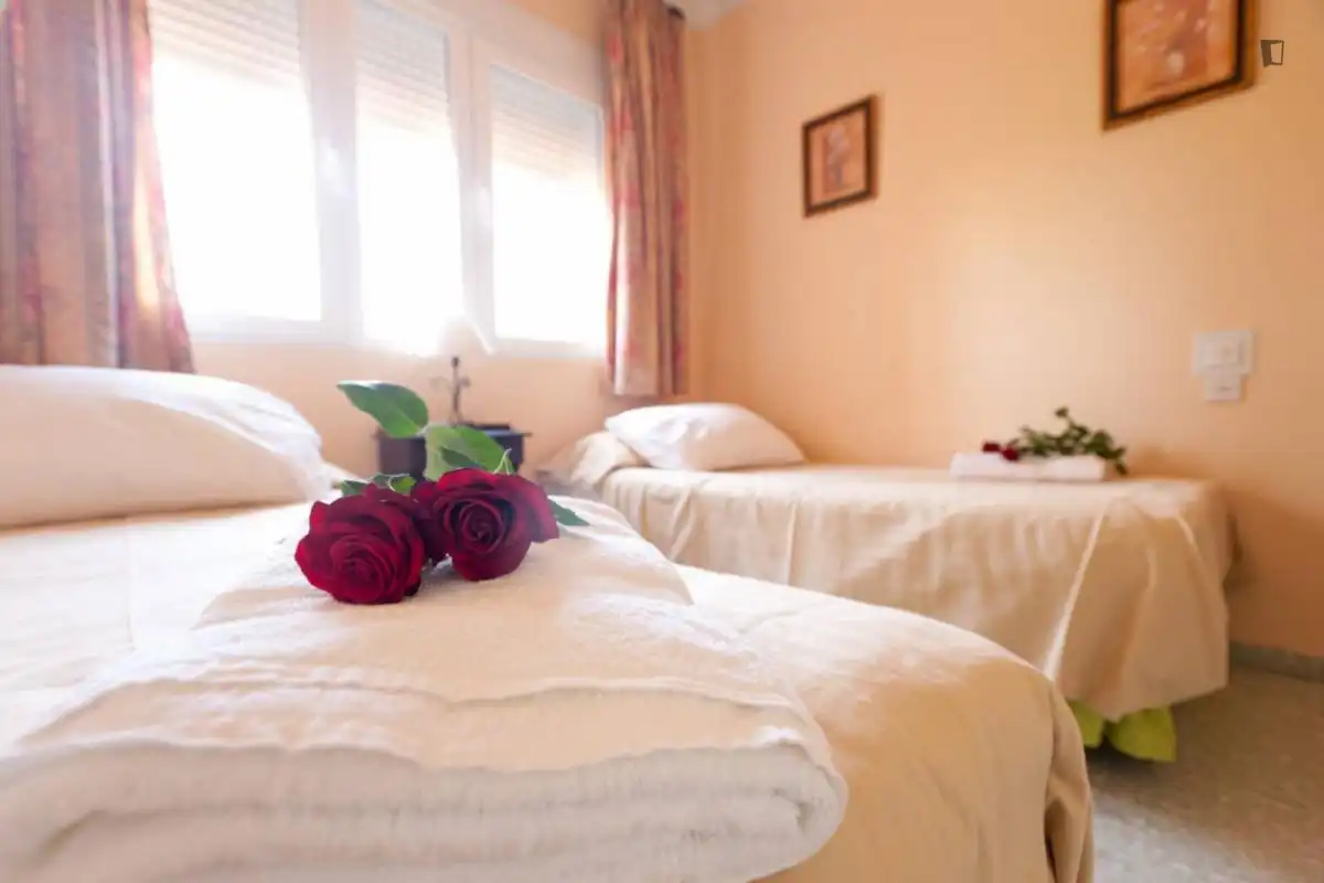 Houses for rent in La Paz