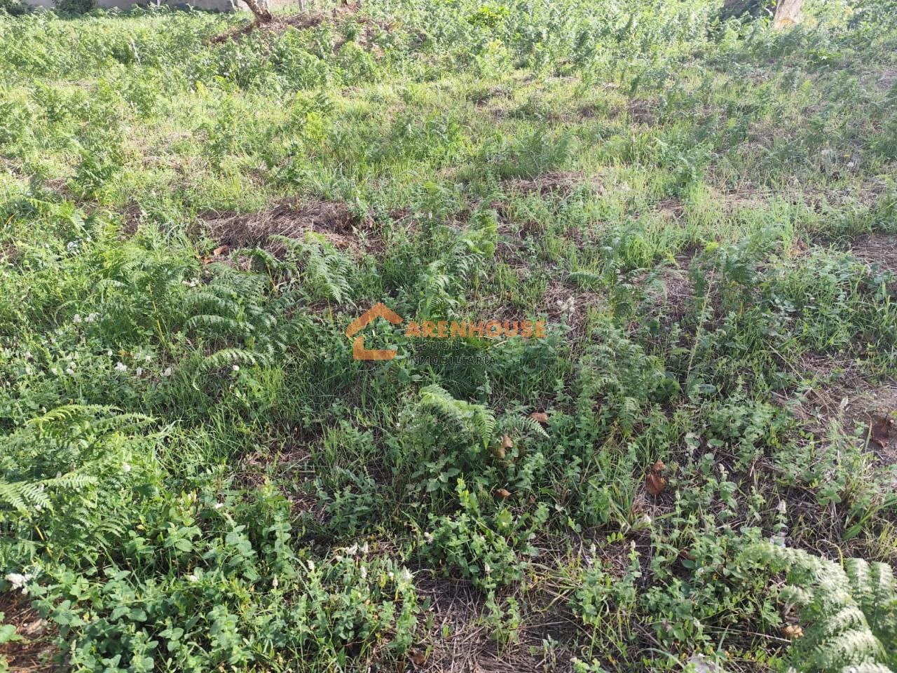 Residencial en venda en Cenlle