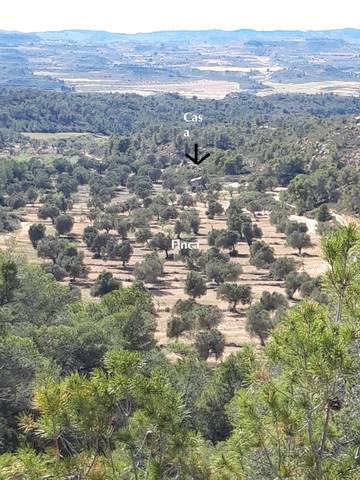 Finca rústica en Venta en Fabara